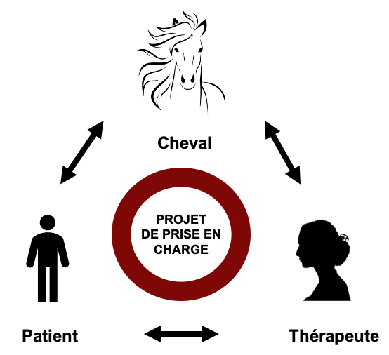 schéma-cheval-patient-thérapeute